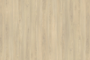 R24029 R5829 Fjord Beech light